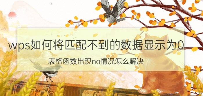 wps如何将匹配不到的数据显示为0 表格函数出现na情况怎么解决？